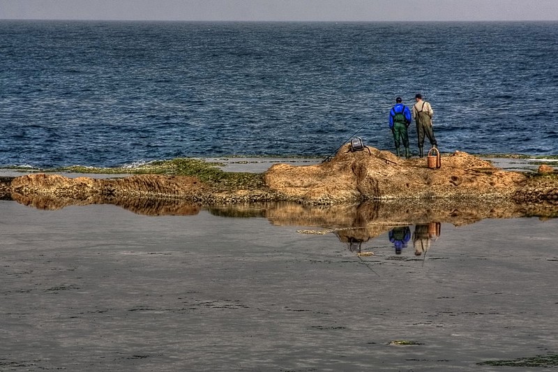 Photo by:  