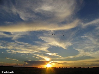 Photo by:  