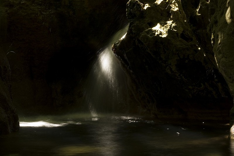 Photo by:  