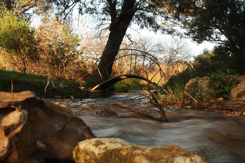 Photo by:  